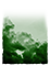 DARK-GREEN